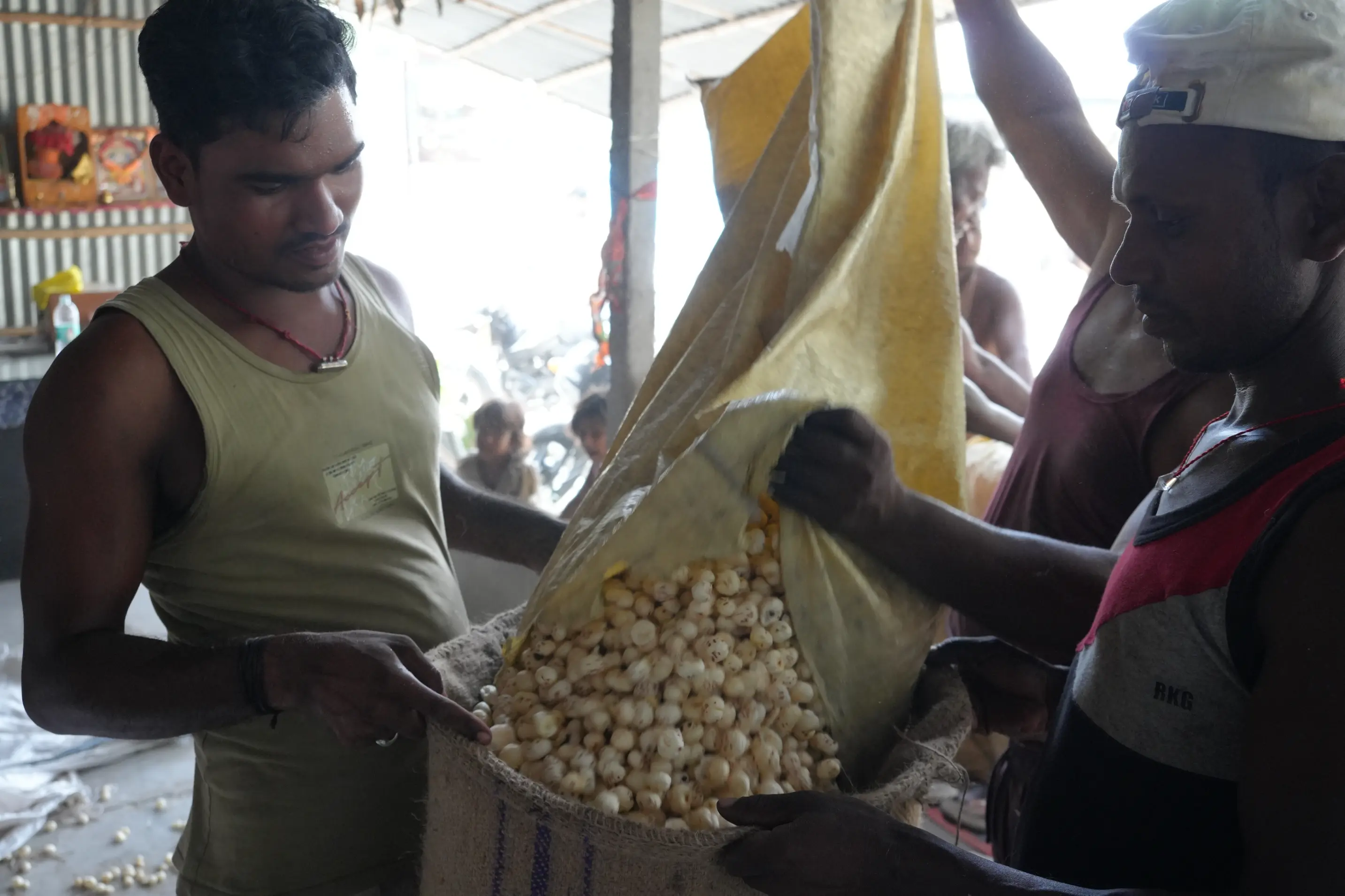 Private label makhana packaging and fox nut products from India