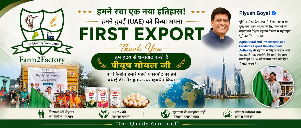 Premium Roasted Makhana Export from Bihar to UAE Dubai